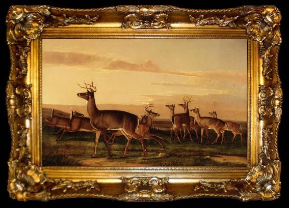 framed  John James Audubon Startled Deer A Prairie Scene, ta009-2